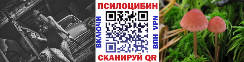 Псилоцибиновые грибы GOLDEN TEACHER сайты даркнета официальный сайт Кологрив продажа наркотиков